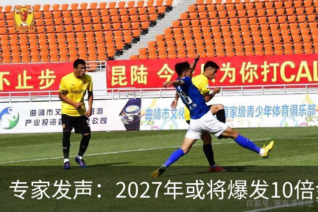 专家发声：2027年或将爆发10倍金融危机 人们抛资产是自救还是踩