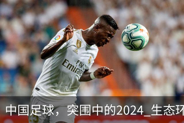 中国足球，突围中的2024 生态环境将实现好转